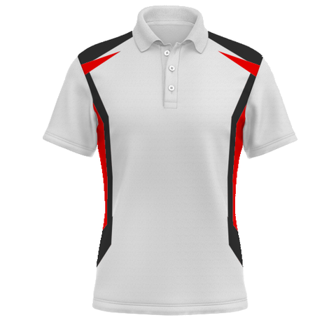 Polo Shirt Design 2